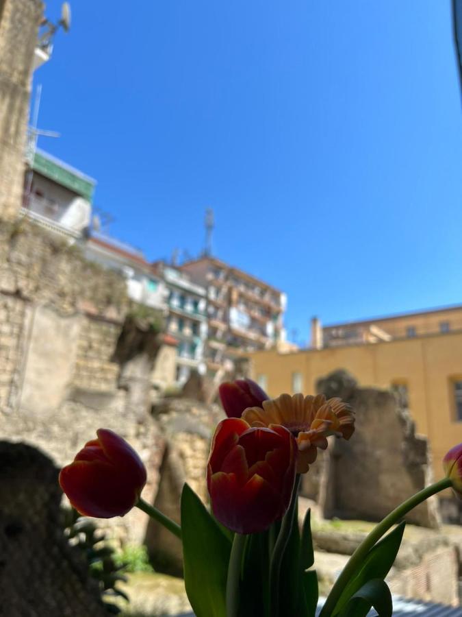 Centro, A Windows On The Monuments * Naples